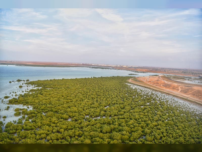 al-qurum-beach-03 اشجار القرم