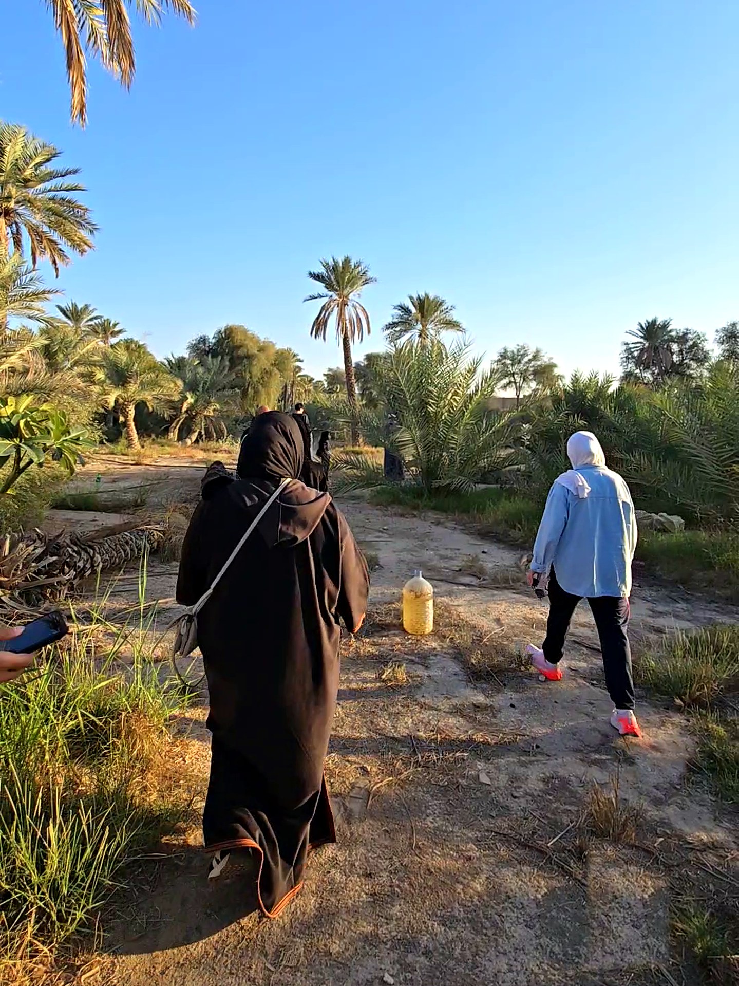 استكشاف مزرعة الواحة
