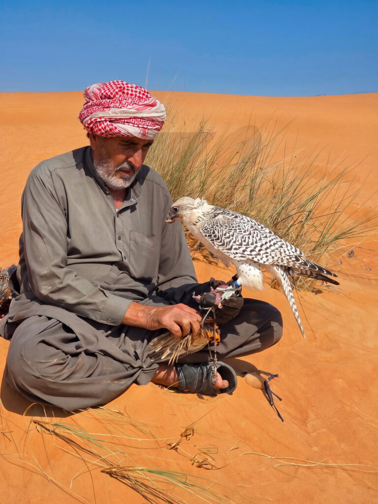 falconer with falcon in desert Falconer with his falcon on the desert dunes