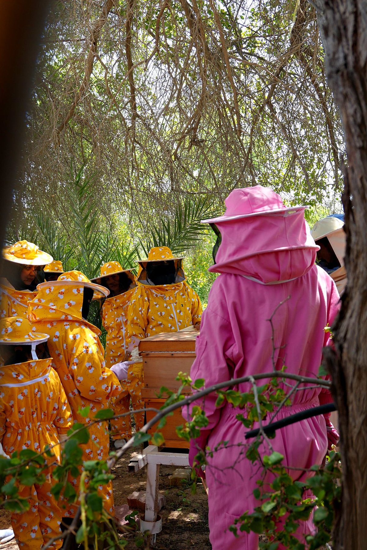 The beekeeper guiding the group at the hive