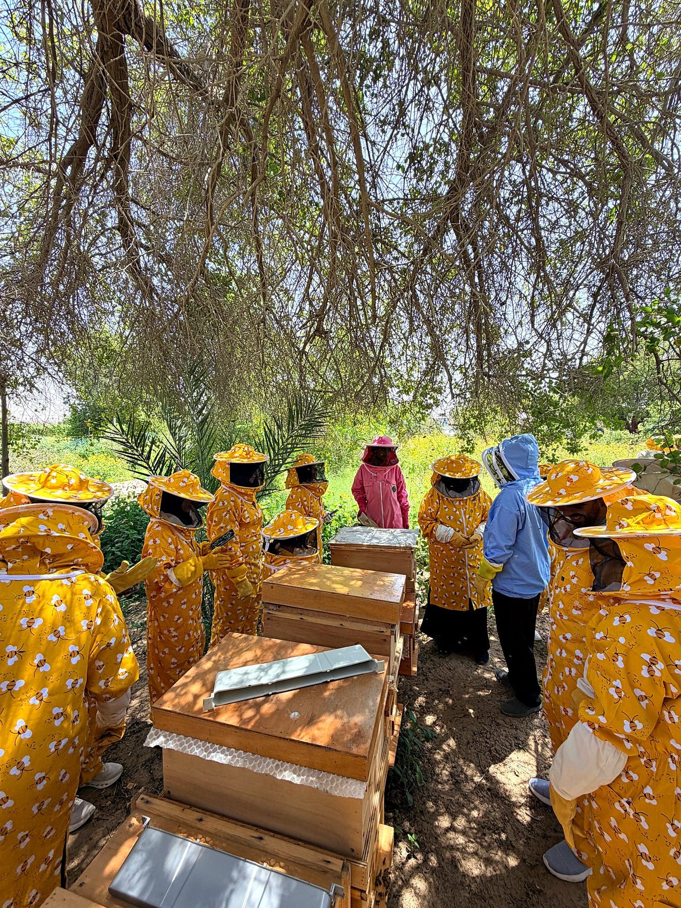 Guests in bee suits during the briefing at the hives