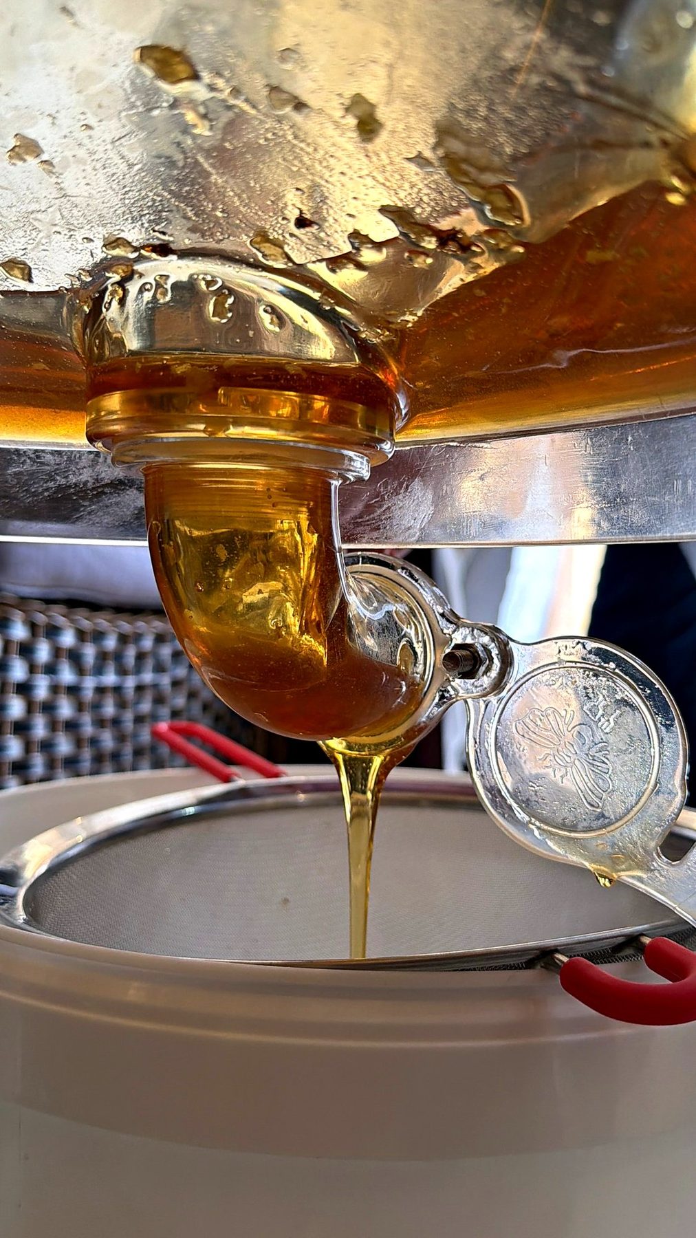 Fresh honey flowing from the extractor