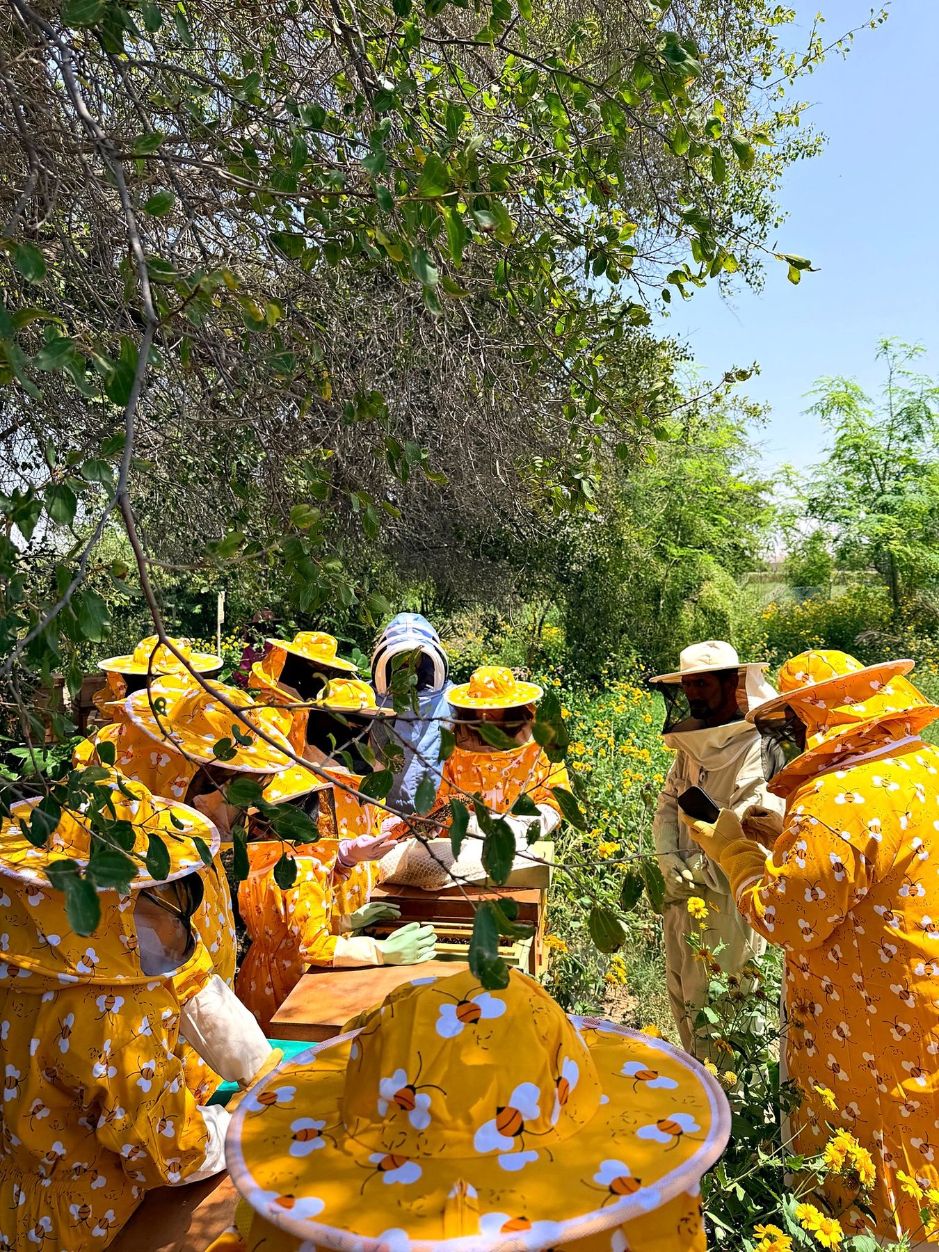 The group gathered at a hive under the trees