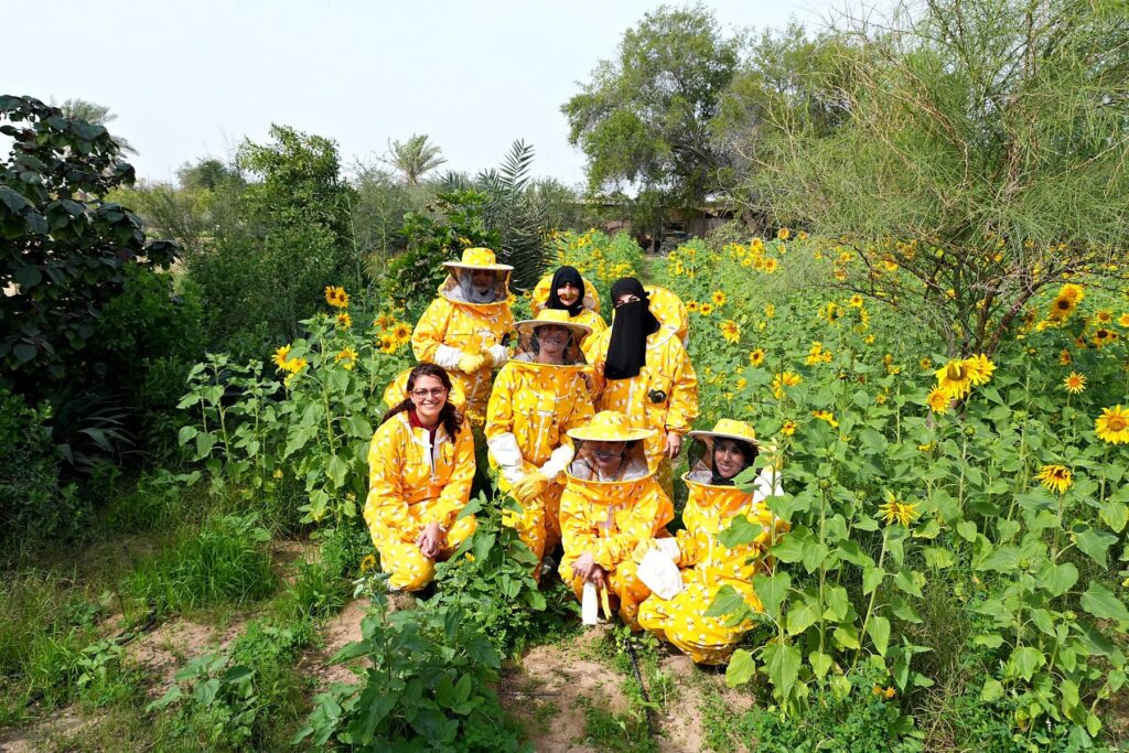 The group in the sunflower field at the farm
