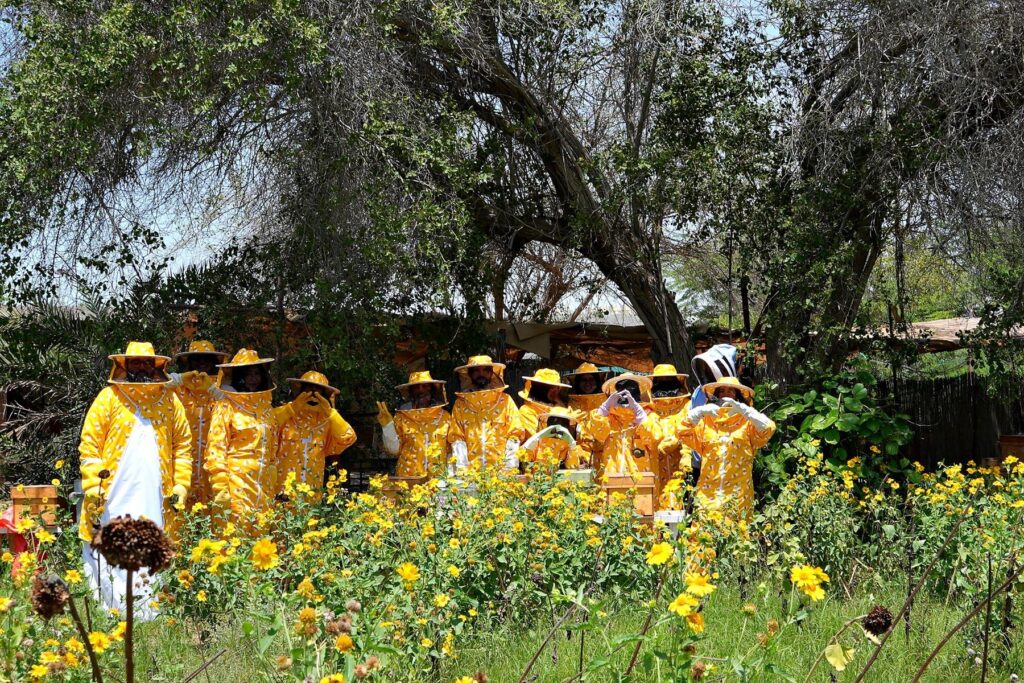 Guests in bee suits among the flowers at the apiary