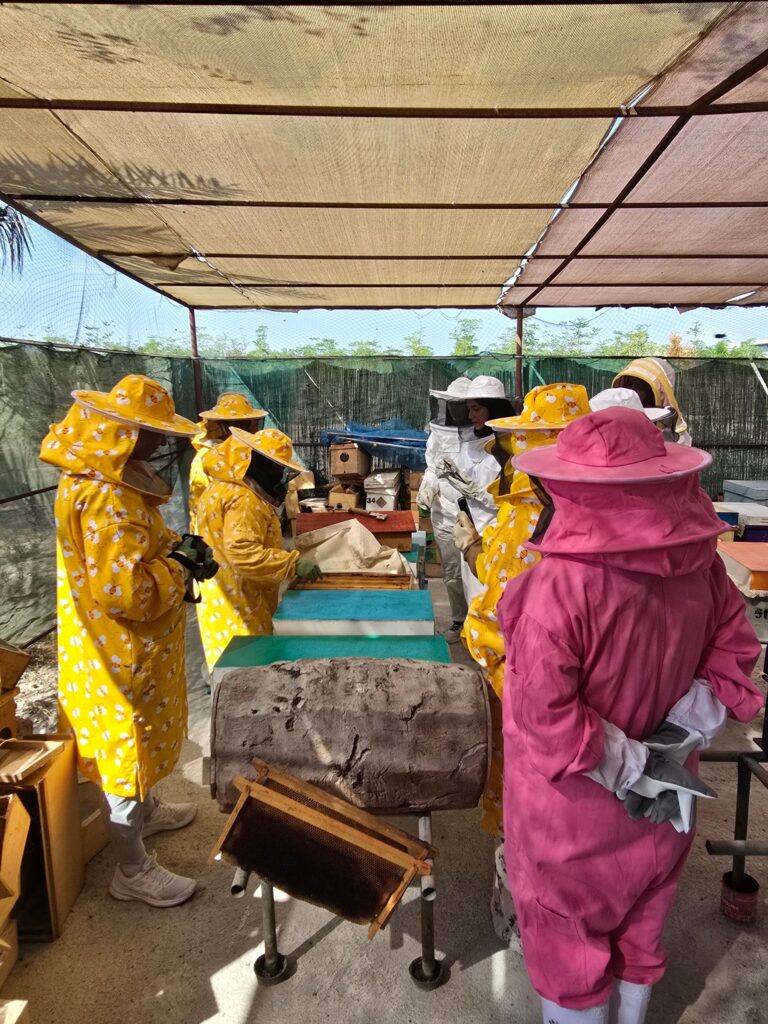 Guests in beekeeping suits at the hives on the UAE Honey Trail
