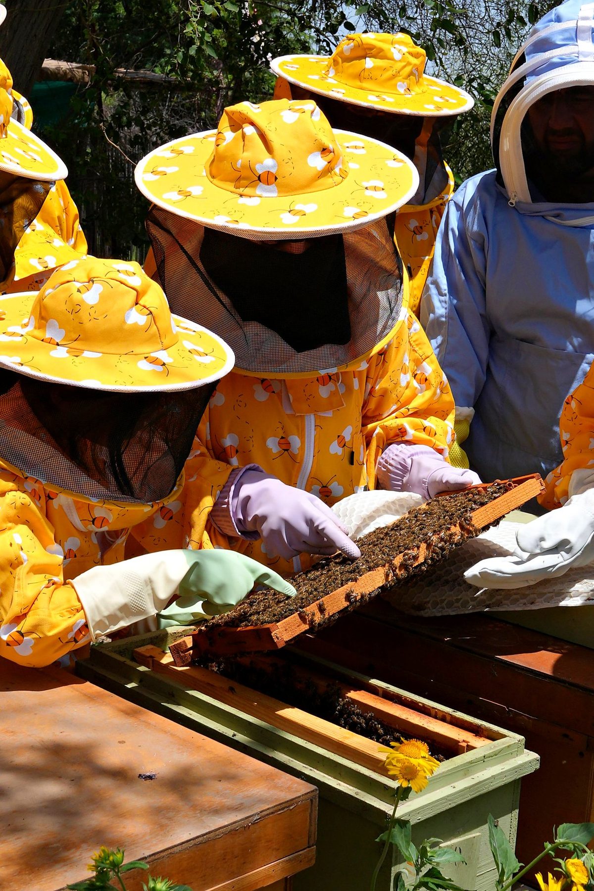 Guests reading a frame of bees up close