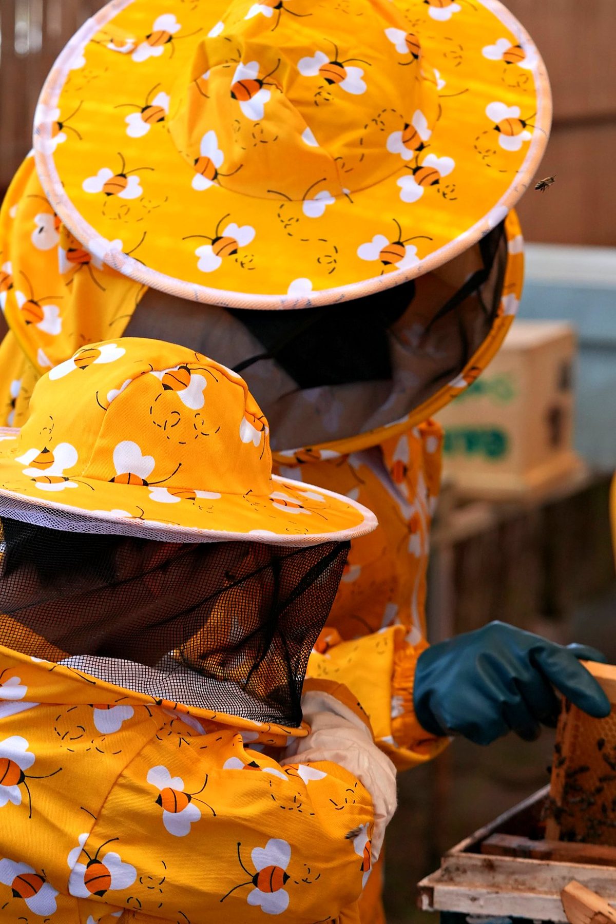A young guest at the hive in a bee suit