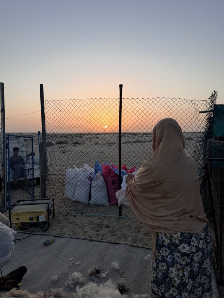 Umm Hamad at the sheep pen at sunset, with bags of fresh wool