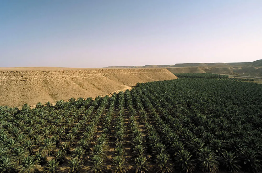 السياحة الزراعية وتأثيرها على الصحة النفسية