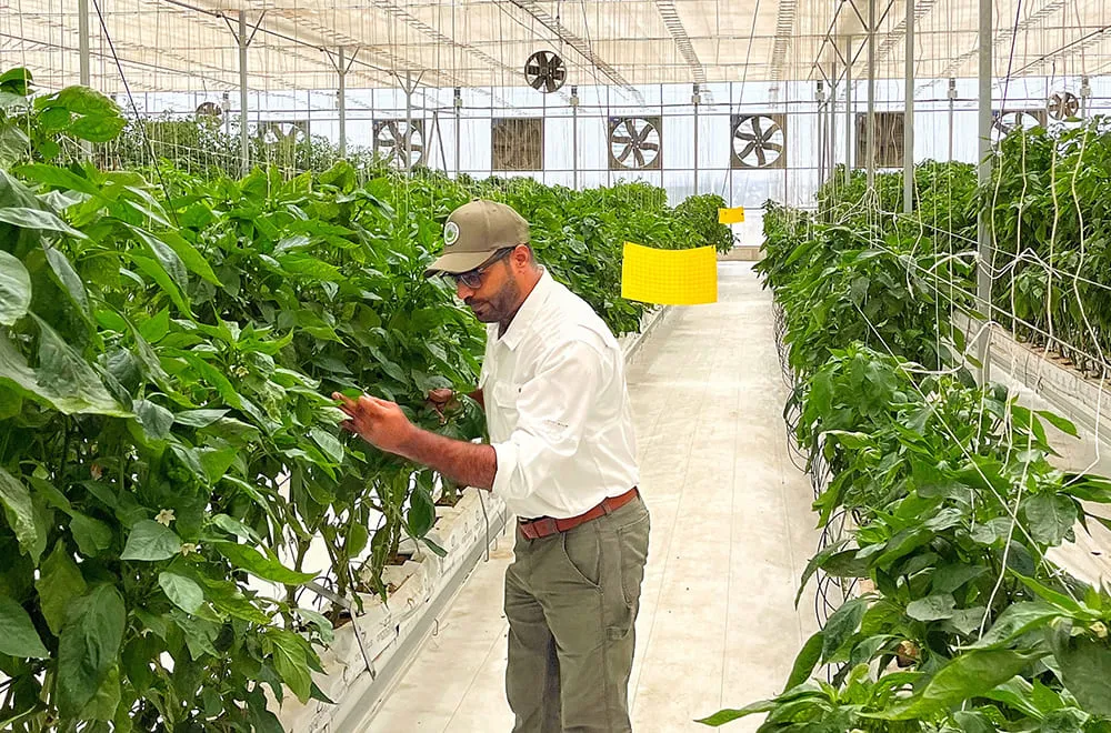 السياحة-الزراعية-وتأثيرها-على-الصحة-النفسية-02 كيف ترتبط السياحة الزراعية بصحة الإنسان النفسية؟