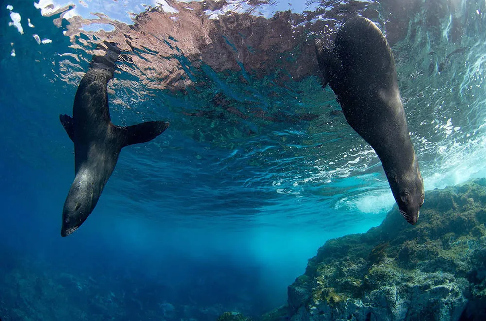 تأثير السياحة البحرية على الصحة النفسية
