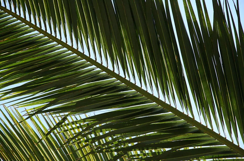 الحرف اليدوية لتحسين الصجة النفسية