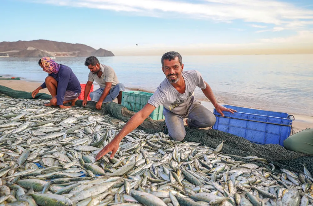 صيد الاسماك