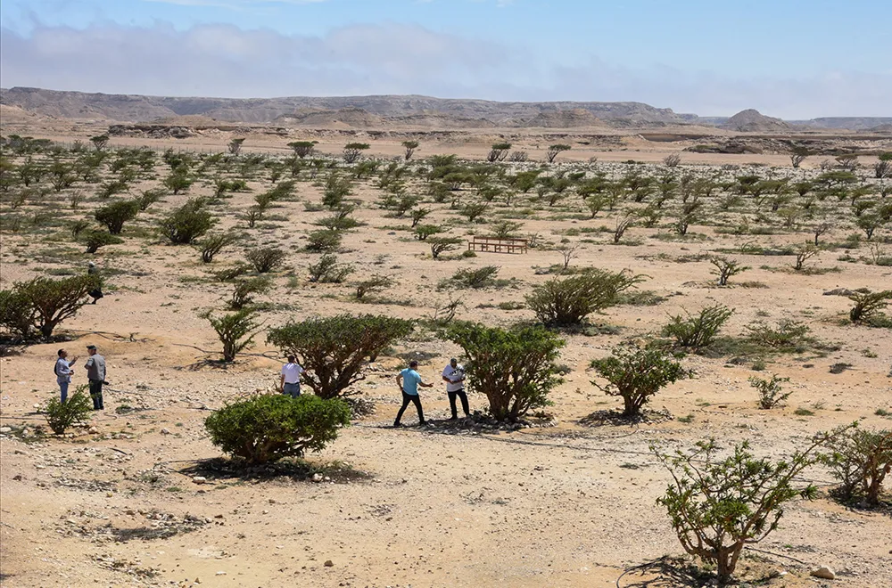 محمية وادي دوكة